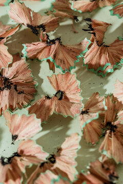 Pencil shavings