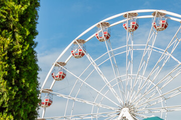 Ferris wheel with red cabins and a bush.