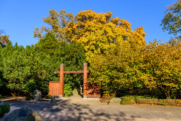 Sightseeing of Wroclaw, Poland. Picturesque Japanese garden in autumn