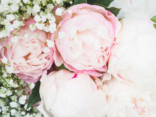 Beautiful bouquet made of white and pink peonies wrapped in white paper. Closeup