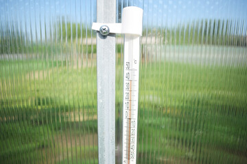 Thermometer in a polycarbonate greenhouse, heat 40 degrees Celsius