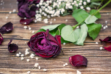 A wilted rose on a wooden background, an old flower