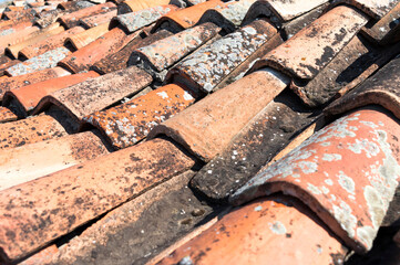 Roof with old tiles