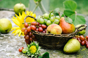 Organic fruit in basket. Fresh grapes, pears and apples in nature