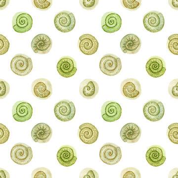 Sea shells seamless pattern