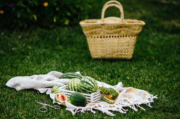 Picnic with small watermelons in a drawer. Picnic with a wicker bag on the grass.