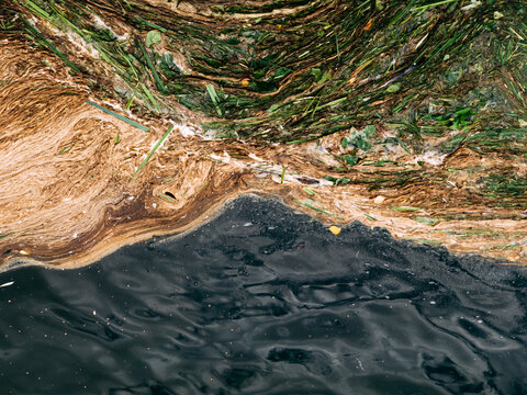 Water pollution