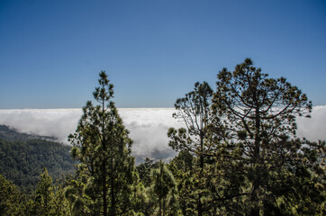 Obraz na płótnie Canvas Sea of clouds in El Teide National Park, Tenerife. Canary Islands. Spain.