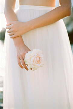 Unrecognizable Woman Holding Light Pink Rose