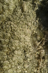Erosión  del agua sobre roca