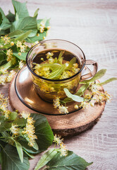 Tilia platyphyllos known as large-leaved linden herbal tea made out of an freshly picked blossoms...