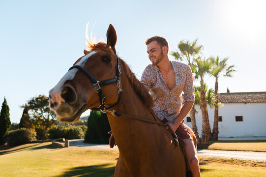 Attractive horse keeper giving affection to the thoroughbred in the field at morning light