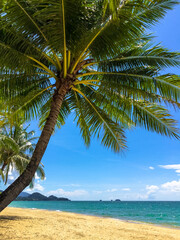 Beautiful, relaxing view of the beach, sea and coconut palm, Thailand.