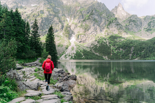 Girl going alone to green forest.
