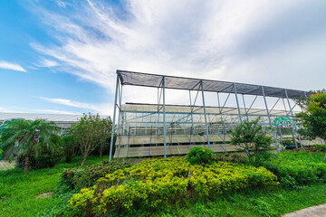 The greenhouse of modern agriculture is under the blue sky and white clouds.