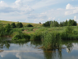 landscape with lake and trees