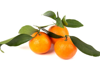 Three fresh tangerines with sprigs and green leaves