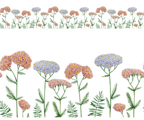 Naklejka premium Meadow flowers in watercolor