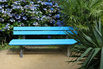 Blue bench in a park