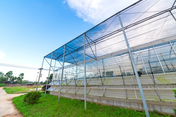 Obraz premium The greenhouse of modern agriculture is under the blue sky and white clouds.