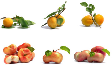 collage of six photos of apricots and peaches on a white background