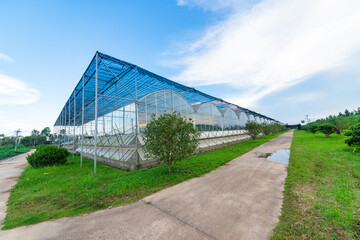The greenhouse of modern agriculture is under the blue sky and white clouds.
