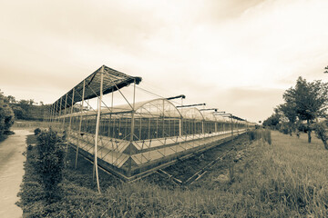 The greenhouse of modern agriculture is under the blue sky and white clouds.
