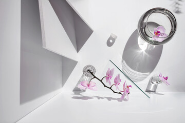 Geometric angular composition with phalaenopsis orchid flowers, different glass objects and shadows on a white background