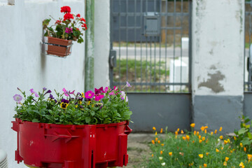 A flower pot in front of the traditional Romanian house