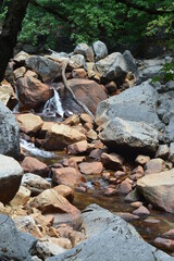 small stream in the forest
