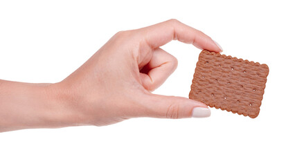 Hand with brown crunchy biscuit, chocolate cookie. Isolated on white background.