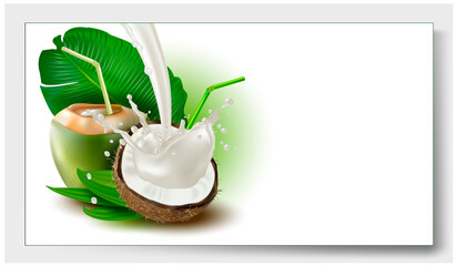 3 d. Ripe and Green Coconut with white flesh and palm leaves on a white background. Splash of coconut milk.Vector illustration.	