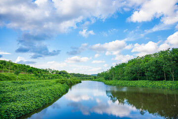 Fototapeta premium The lake in the forest is under the blue sky and white clouds