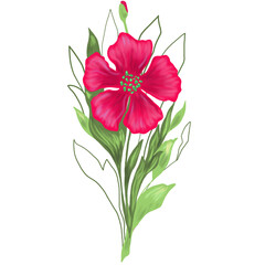 Floral illustration with red poppies on a white background.