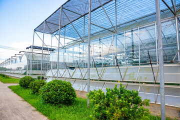 The greenhouse of modern agriculture is under the blue sky and white clouds.