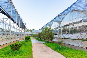 Obraz premium The greenhouse of modern agriculture is under the blue sky and white clouds.