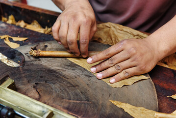 Closeup of hands making cigar from tobacco leaves. Traditional manufacture of cigars. Dominican...