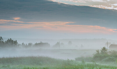 Early morning fog in rural environment