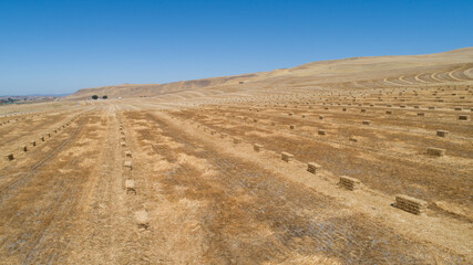 Harvest of golden hay bales set in rows ready to be collected against rolling hills