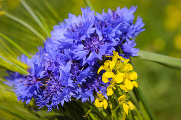 Beautiful Bouquet Of Cornflower And Rapeseed Flowers.