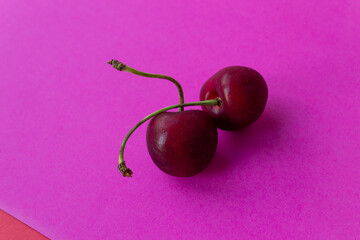 two red cherry on bright color pink background 