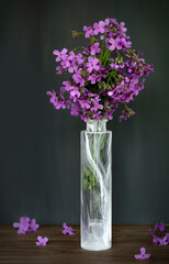 A bouquet of lilac flowers in a glass vase on a dark gray background