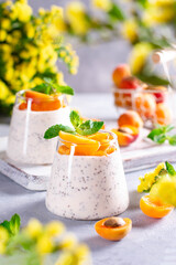 Healthy chia pudding with yogurt and fruit in a glass on a light concrete background