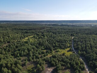 Fototapeta na wymiar Aerial view of a forest path