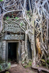 ruins of an old building in Ta Promh