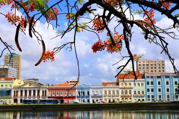 Recife
