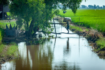 Rural Cambodia