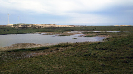 view of the lake