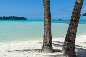 Beautiful turquoise lagoon, Pines Island, new caledonia. Typical rock between two palm trees