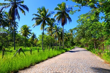 path in the park